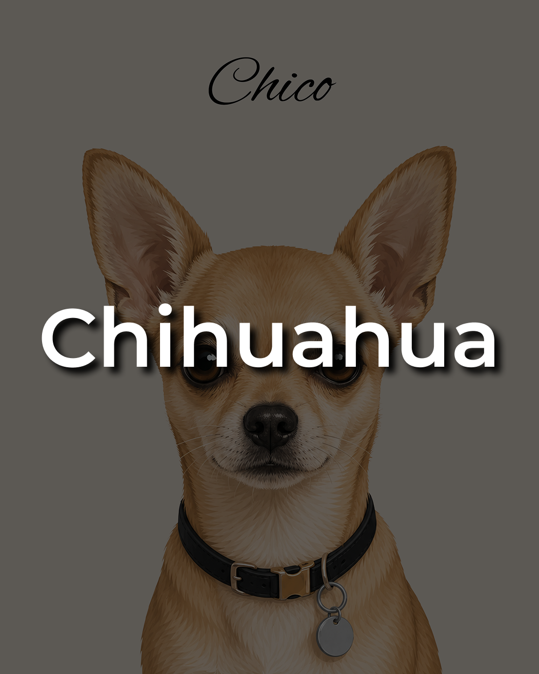 Chihuahua