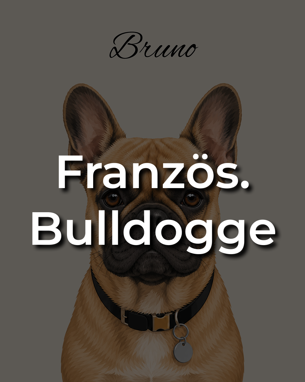 Französische Bulldogge Leinwand