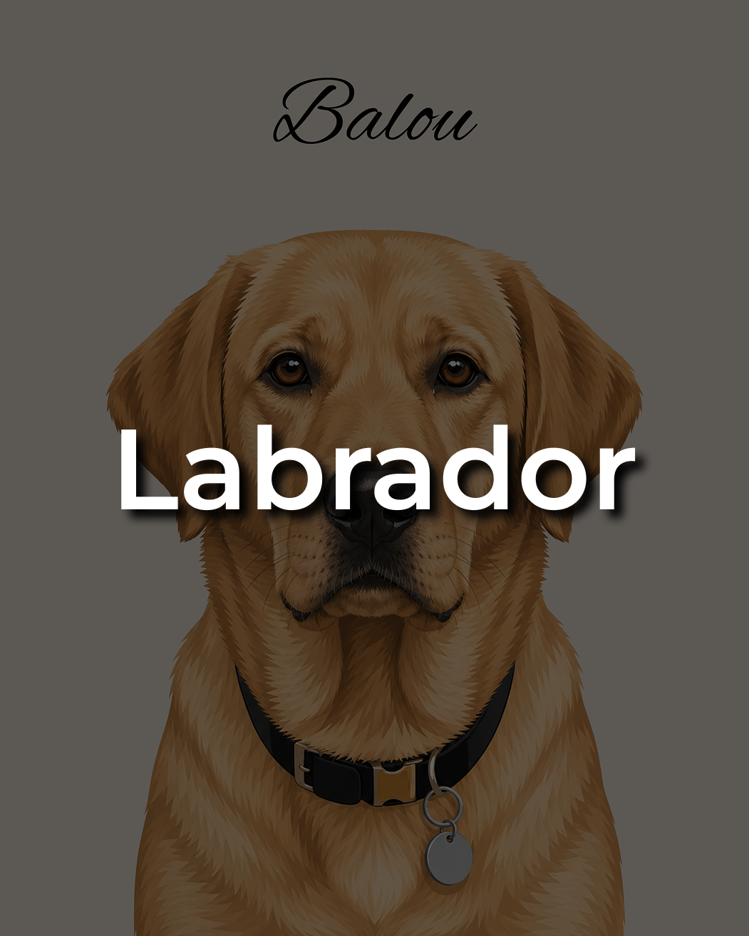 Labrador Retriever Leinwand