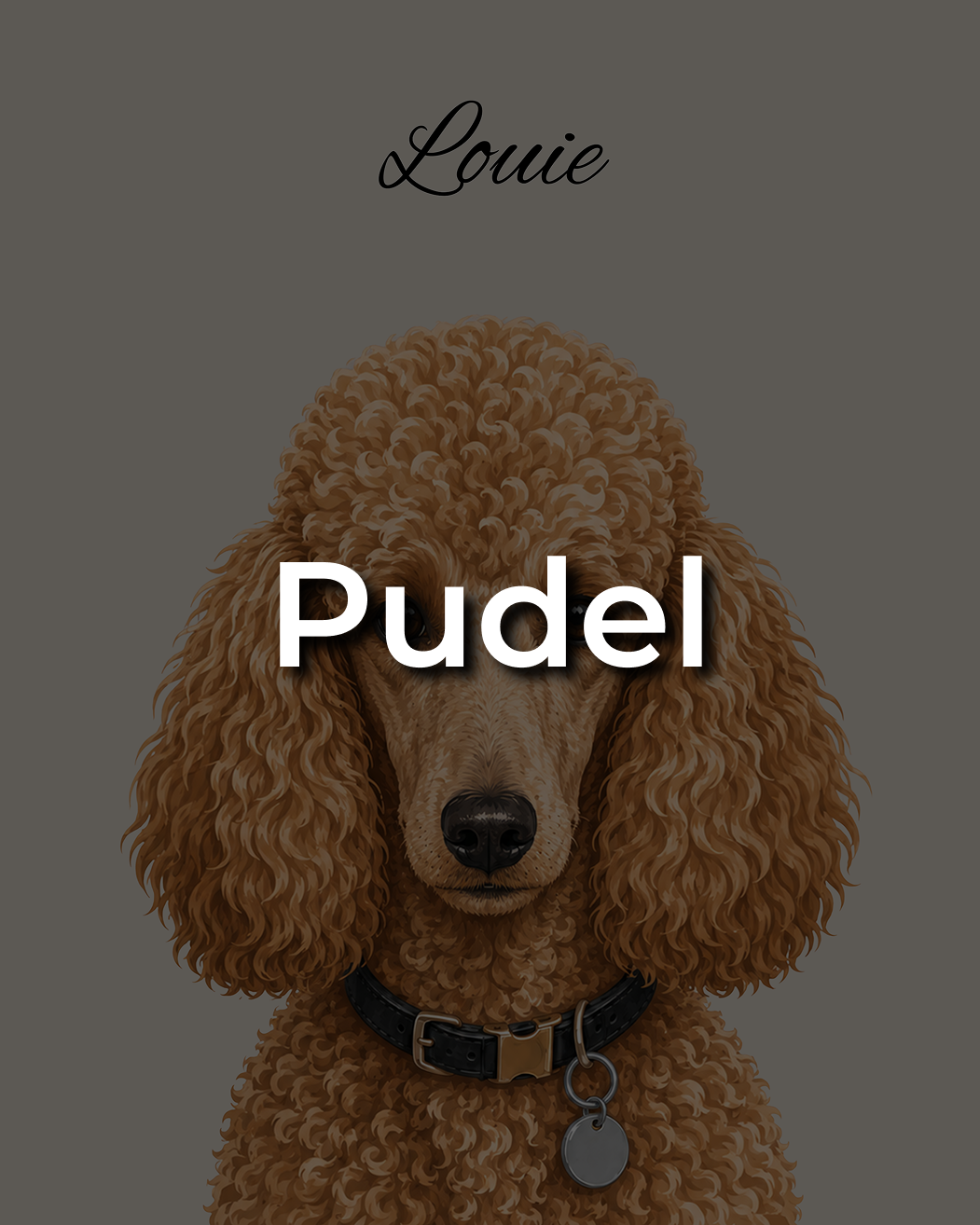 Pudel Leinwand