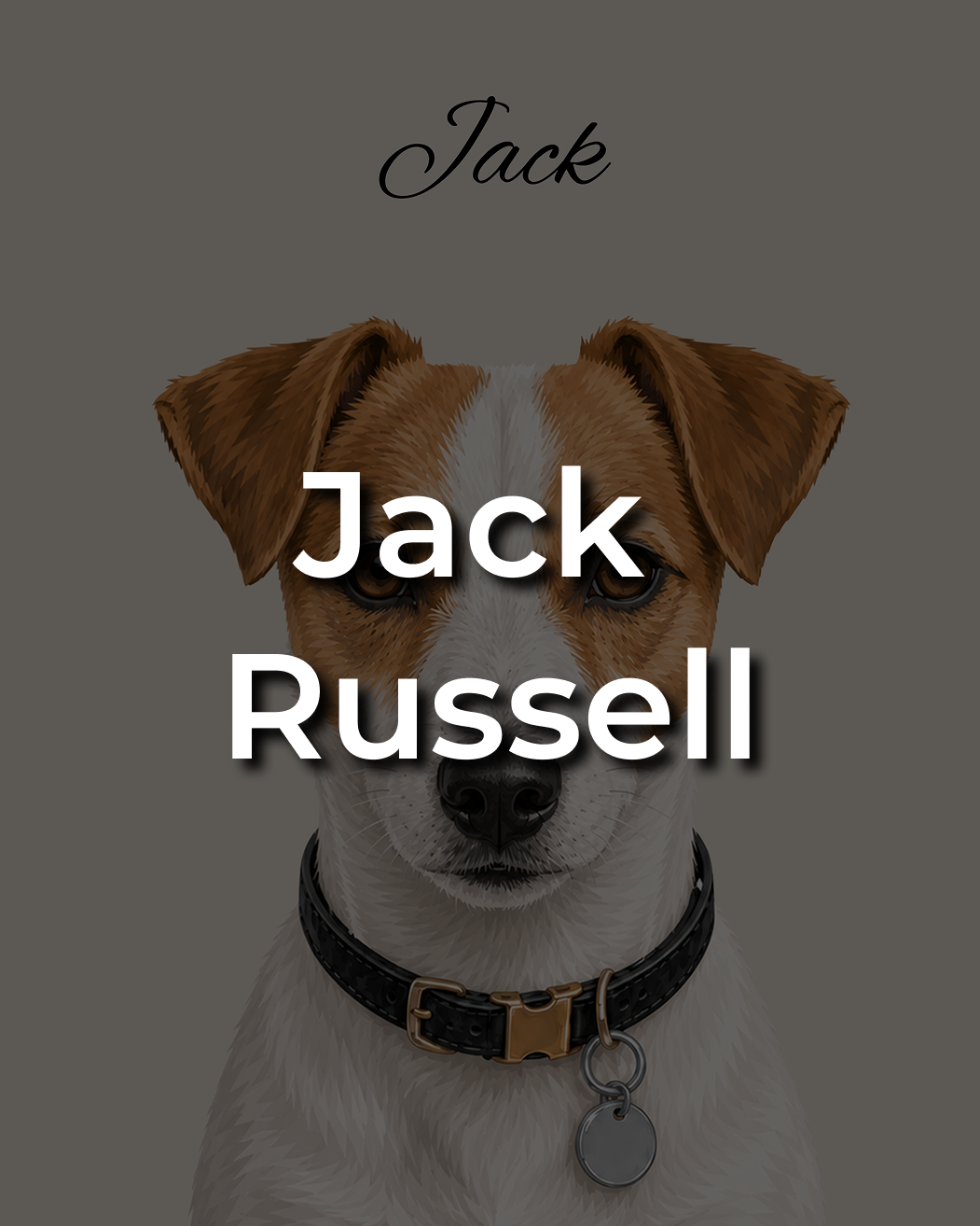 Jack Russell Terrier Leinwand