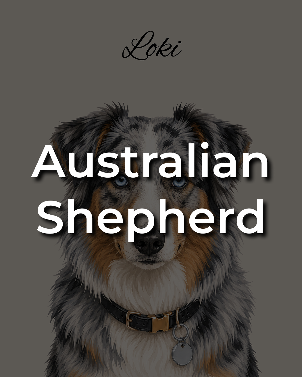 Australian Shepherd Leinwand