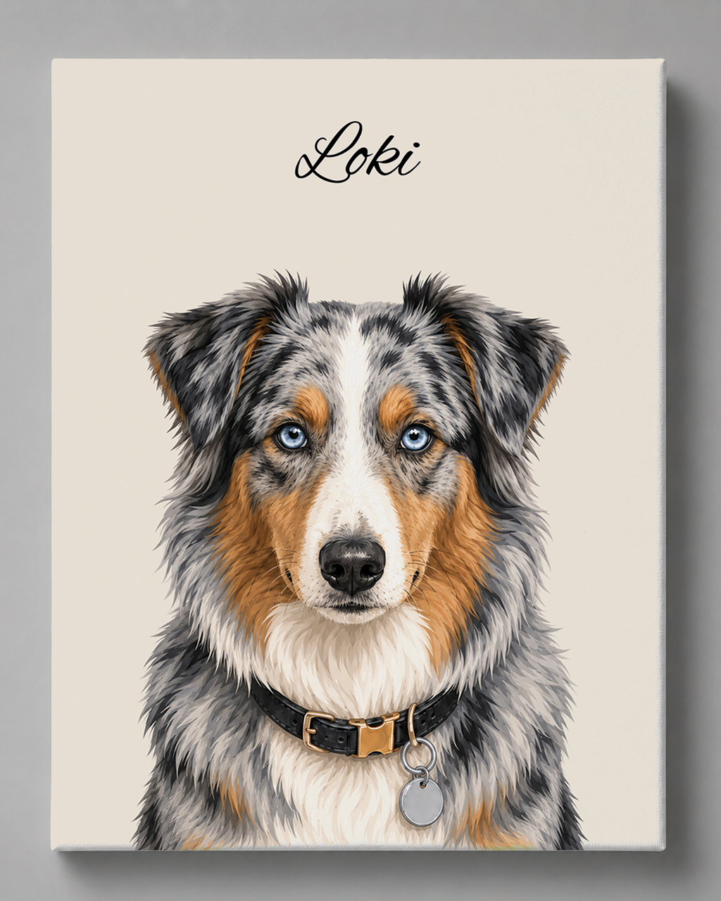 Australian Shepherd - Moderner Stil