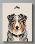 Australian Shepherd - Moderner Stil