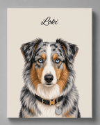 Australian Shepherd - Moderner Stil