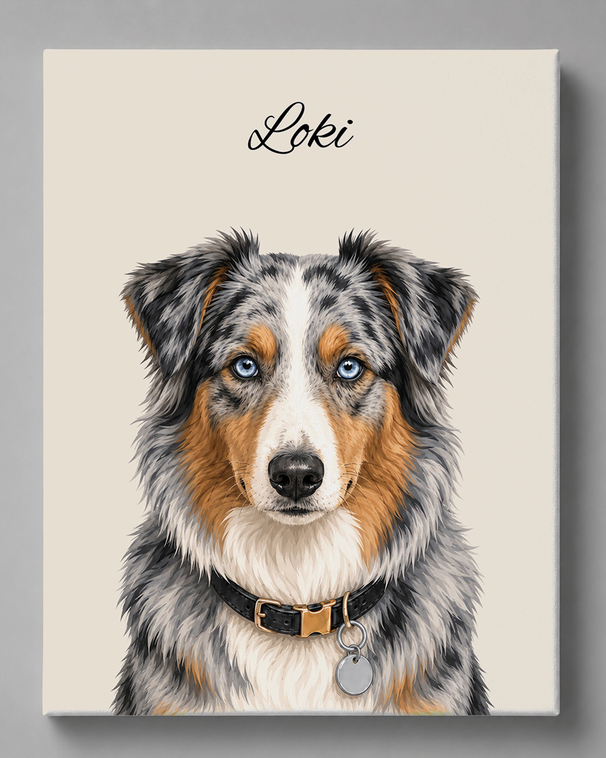 Australian Shepherd - Moderner Stil