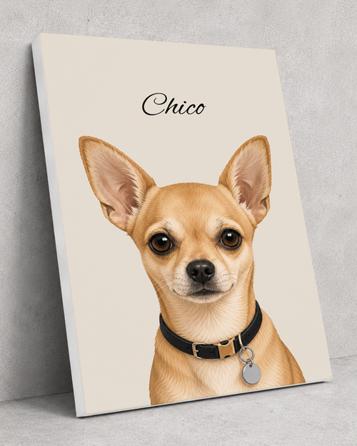 Chihuahua - Moderner Stil