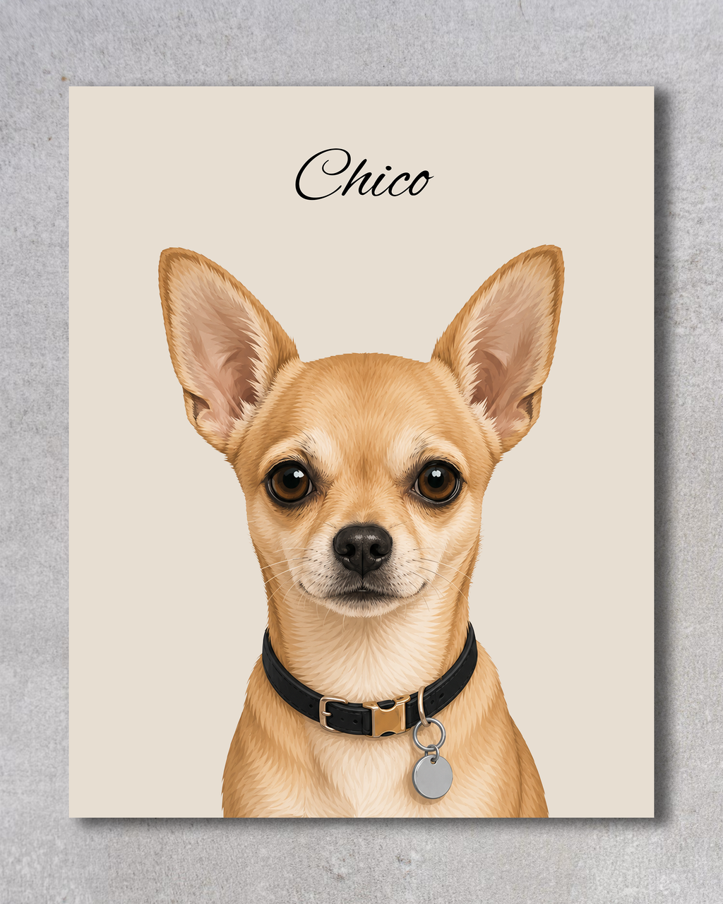 Chihuahua - Moderner Stil
