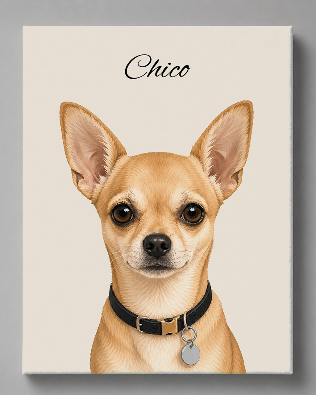Chihuahua - Moderner Stil