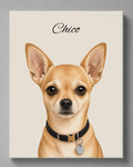 Chihuahua - Moderner Stil