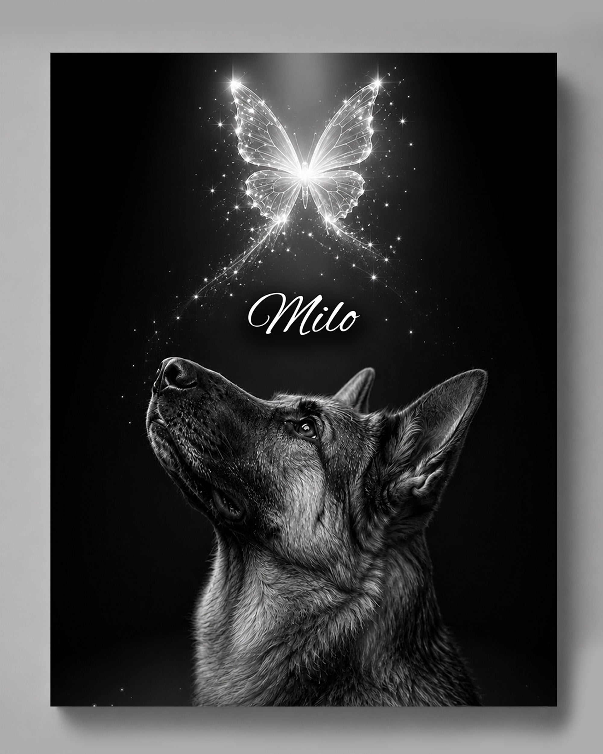 Himmlisches Hundeportrait